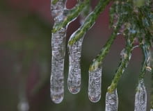 26.03.2009 LUBLIN , LOD NA CYPRYSIKU . FOT. IWONA BURDZANOWSKA / AGENCJA GAZETA