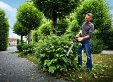 Dzięki poręcznym nożycom do żywopłotu Stihl HSA 66 bez większego trudu utrzymamy w ryzach nasze krzewy ok. 1000 zł