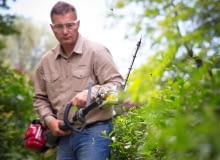 Przycinanie żywopłotu Przycinanie żywopłotu