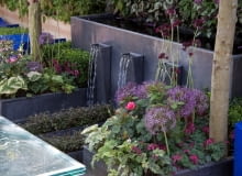 Chelsea Flower Show 2011. Zdjęcia ogrodów. 25.05.2011 LONDYN WYSTAWA OGRODOW CHELSEA FLOWER SHOW NA ZDJECIU OGROD UWAGA ZDJECIA MALE DO OGLADANIA I WYBIERANIA DLA CZASOPISMA OGRODY FOT. ARKADIUSZ SCICHOCKI / AGENCJA GAZETA