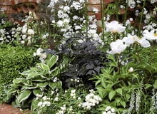 Rabaty z białymi kwiatami są bardzo eleganckie