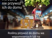 Trzeci rok kampanii #PlantHealth4Life: każdy może zostać ambasadorem zdrowia roślin Trzeci rok kampanii #PlantHealth4Life: każdy może zostać ambasadorem zdrowia roślin