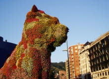 Pies zapraszający do Muzeum W Bilbao muzeum, architektura, fasady