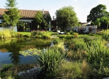 dom w otoczeniu drzew