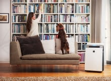 Technologia Sharp Plasmacluster jest jedną z najskuteczniejszych metod w walce ze smogiem i cząsteczkami stałymi zawartymi w powietrzu, KIG75EUW, Sharp Oczyszczanie powietrza w domu