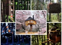 domki na drzewach, projekty