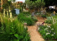 Ogród miłośnika ekologii to miejsce dla ludzi, roślin i pszczół. Ogród miłośnika ekologii to miejsce dla ludzi, roślin i pszczół.