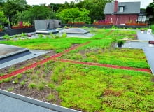 nawet Takie obciążenie  musi być uwzględnione  przy projektowaniu  dachu zielonego dach płaski dachy płaskie dom z dachem płaskim nie bój się dachu płaskiego projekt domu  dachem płaskim