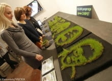 Zielone wydruki 3D Zielone wydruki 3D