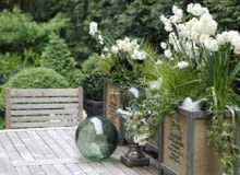 Ogród Pani Danuty Młożniak Ogród Pani Danuty Młożniak