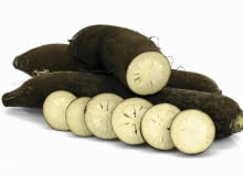 ODMIANA 'GROS LONG D'HIVER DE PARIS'