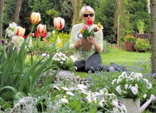 Kwiecień wybucha kwiatami - nie tylko na rabatach, ale także w naczyniach i wiklinowych koszach. Kwiecień wybucha kwiatami - nie tylko na rabatach, ale także w naczyniach i wiklinowych koszach.