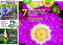 Magazyn Magnolia 2/16