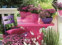 Herbstlicher Balkon mit Herbstastern, Chrysanthemen, Heide, Torfmyrte, Gršser, Astilben SLOWA KLUCZOWE: Astilbe Balkon Besenheide Calluna vulgaris Chrysantheme Chrysanthemum eingetopft Gaultheria mucronata Gaura Heide Herbst Herbstbalkon Herbstzeit Lifestyle lila Patio pink purpur rosa Rosmarinus Stuhl Tisch Hochformat