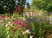 Imponująca rabata przed domem, a na niej urokliwe pysznogłówki, kopry włoskie 'Bronze', przetaczniki kłosowe 'Christa' i lilie orientalne to dopiero zapowiedź bogactwa tutejszej roślinności. Imponująca rabata przed domem, a na niej urokliwe pysznogłówki, kopry włoskie 'Bronze', przetaczniki kłosowe 'Christa' i lilie orientalne to dopiero zapowiedź bogactwa tutejszej roślinności.