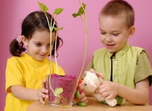 Dzięki prostemu doświadczeniu z kiełkującą fasolą dzieci w zabawie poznają różne części roślin. 04.01.2005 WARSZAWA