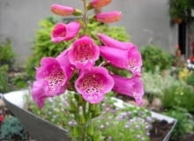 10083820 https bi