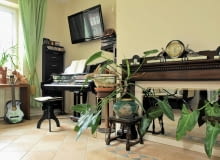 OLYMPUS DIGITAL CAMERA