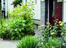 Laureaci Nagrody Prezydenckiej 33. Konkursu Warszawa w Kwiatach i Zieleni, Kategoria Człowiek 1 miejsce: Zygmunt Gasiuk, ul. Pruchnika 8E