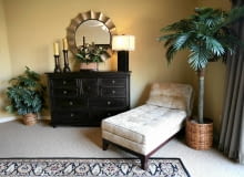 W warunkach naturalnych liście niektórych gatunków mogą osiągać nawet kilkanaście metrów długości. W warunkach naturalnych liście niektórych gatunków mogą osiągać nawet kilkanaście metrów długości.