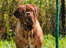 Idealny wąż do podlewania roślin nie powinien się skręcać i tworzyć węzłów Idealny wąż do podlewania roślin nie powinien się skręcać i tworzyć węzłów