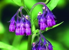 Fot.: Bildagentur Zoonar GmbH shutterstock