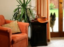 Miękka wykładzina dywanowa ociepla wnętrz, jest też dobrym sposobem na ukrycie defektów podłogi. Jak ją ułożyć? Oto krótka instrukcja. WNETRZA PODLOGA WYKLADZINA DYWANOWA FOT. BRUNO FIDRYCH PUBLIKACJA CZTERY KATY NR 2 (184) - 2 2007 SLOWA KLUCZOWE: WNETRZA BUDOWNICTWO ZDJĘCIE DO WKŁADKI: PUBLIKACJA CZTERY KATY NR 2 (184) - CZASOPISMA