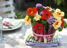 Bukiecik w rzodkiewkowej oprawie będzie niecodzienną ozdobą ogrodowego przyjęcia, a jego przygotowanie nie zajmie wiele czasu. Uwaga: zamiast rzodkiewek można wykorzystać małe marchewki lub liście kapusty (włoskiej, czerwonej). Glasschale als Vase verkleidet mit Radieschen : Strauss aus Tropaeolum ( Kapuzinerkresse ), Oregano ( Origanum ) und Petersilie ( Petroselinum ) in mit Radieschen ( Raphanus ) verkleidetem Glas SLOWA KLUCZOWE: Kr uter Praxis Step essbare Bl´ten Gem´se FERTIGBILD rot ROSA FARBE gelb 000 msgnp13 Sommer draussen quer FLORISTIK