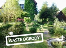 Ogród na skarpie Ogród na skarpie