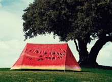 Namiot Field Candy Namiot Field Candy