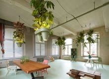 Zielone lampy Zielone lampy