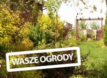 Ogród Pani Agnieszki Ogród Pani Agnieszki