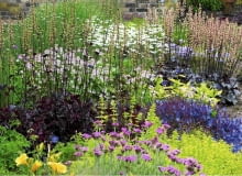 Kolorowa rabata w lekkim cieniu Kolorowa rabata w lekkim cieniu