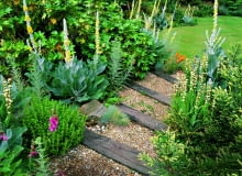 Nawierzchnie ze żwirowymi fugami mogą być wykonane z różnych materiałów - tu wykorzystano deski./Fot. CLIVE NICHOLS DENMANS GARDEN, SUSSEX: GRAVEL RIVER WITH RAILWAY SLEEPER STEPS PLANTED WITH VERBASCUM OLYMPICUM, SISYRINCHIUM STRIATUM AND FOXGLOVES.DENMANS GARDEN, DESIGNER JOHN BROOKES