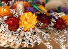 Suche bukiety Suche bukiety