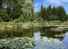 BOLESTRASZYCE PARK DENDROLOGICZNY ARBORETUM JEZIORKO WODA STAW ZBIORNIK WODNY LILIA WODNA GRZYBIEN BIALY NYMPHAEA ALBA ROSLINA WODNA BYLINA FOT. LILIANNA SOKOLOWSKA SLAJD MALY PUBLIKACJA OGRODY NR 9 (65) - 9.2004 SLOWA KLUCZOWE: PARKI ROSLINY WODA XNO ZDJĘCIE DO WKŁADKI: PUBLIKACJA OGRODY NR 9 (65) - CZASOPISMA