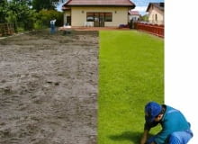 Rozkładanie darni na dobrze przygotowanym podłożu to prosta praca. Płaty darni rozwija się z rolki, wyciąga zawinięte źdźbła na styku poszczególnych płatów i następnie docina nożem wzdłuż krawężników oraz rabat, Rozkładanie darni na dobrze przygotowanym podłożu to prosta praca. Płaty darni rozwija się z rolki, wyciąga zawinięte źdźbła na styku poszczególnych płatów i następnie docina nożem wzdłuż krawężników oraz rabat,