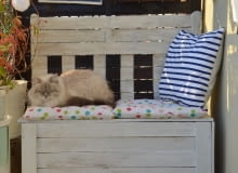 Metamorfoza starej skrzyni. Metamorfoza starej skrzyni.