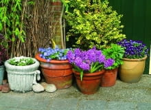 Wiosenne kwiaty balkonowe 29.04.2003 HOLANDIA WYJAZD BIURO CEBULKOWE HOLANDIA OGROD PRYWATNY MARCEL BORKUS I WIM GEURINK POJEMNIK GLINA BLACHA OCYNKOWANA WIADRO DEKORACJA ROSLINNA ROSLINY SEZONOWE BRATEK GLINA BYLINY FOT PAWEL SLOMCZYNSKI / AGENCJA GAZETA WIOSNA PUBLIKACJA KWIETNIK NR 3 (123) - 3.2005