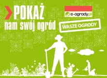 Redakcja Redakcja