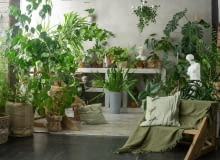 Urban jungle