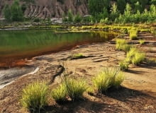 Malownicze jeziorka w parku "Łuk Mużakowa"