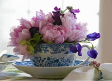 Pfingstrosen und lila Wicken in blauweißer Tasse SLOWA KLUCZOWE: Blume Blumen Blumenstrauß Blumensträuße Dekoration Florales Geschirr Pfingstrose Pfingstrosenstrauß Pfingstrosensträuße Päonie Päonien Sommer Tasse Tassen Wicke Wicken blau-weiss floral rosa sommerlich weiss-blau Niemand *** Local Caption *** 00095256