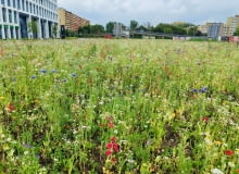 Wrocław West 4 Business Hub