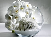 Sezon na minimalizm - stroik z muszlami 25.02.2009 WARSZAWA SESJA ZIMA 2009