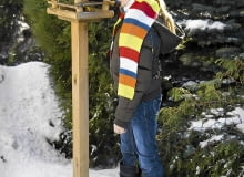 Dbajmy o Ptaki. Po obfitych opadach śniegu wysypujmy im więcej pokarmu. Dbajmy o Ptaki. Po obfitych opadach śniegu wysypujmy im więcej pokarmu.