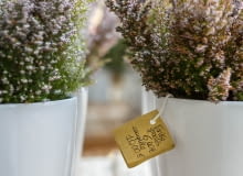 Wrzosy na cmentarz wrzosy na cmentarz