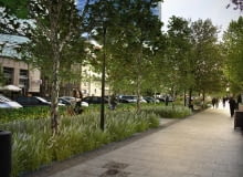 Projekt nowej zieleni na ulicy Świętokrzyskiej w Warszawie - jeden z wariantów projektowych Projekt nowej zieleni na ulicy Świętokrzyskiej w Warszawie - jeden z wariantów projektowych