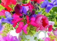 v FBouquet of Lathyrus odoratus, Alchemilla, Alcea and Borago officinalis