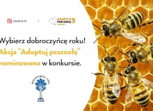'Adoptuj pszczołę' 'Adoptuj pszczołę'
